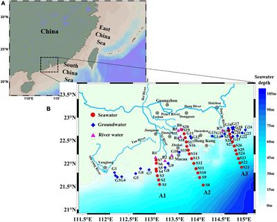 Submarine Groundwater and River Discharges Affect Carbon Cycle in a Highly Urbanized and River-Dominated Coastal Area